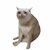 $CASHCAT logo